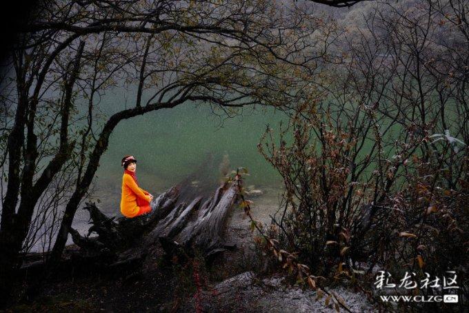 潮人新知·前沿发现 | 2024年是太阳活动“大年”，贵州发现新种“荔波金丝桃”